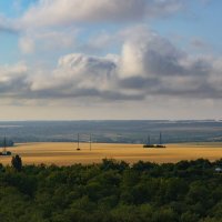 ... :: Сергей Лысенко