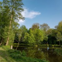 *** :: Николай Гирш