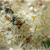 Ж :: AZ east3 Ж :: AZ east3