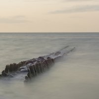 скелет :: Максим Вышарь