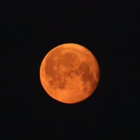 Клубничная Луна :: Полина Лопатина (Hunter)