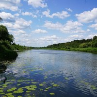Река Угра :: Татьяна Тюменка