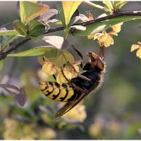...лето -это маленькая жизнь :: Aleksandr Gal