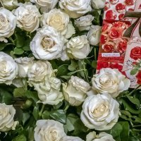 Дарите женщинам цветы :: Валерий Иванович