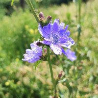 ,,, :: Сергей Тимоновский