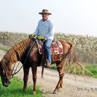 Ковбои на прогулке :: Николай Волков