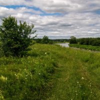 Подмосковный июнь 4 :: Андрей Дворников Подмосковный июнь 4 :: Андрей Дворников