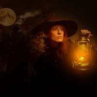 в лунную ночь :: alexzonder 