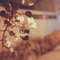 13  ОПЕН (178) :: OPEN WAYS ALL