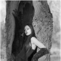 *** :: Алексей Т.