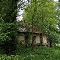 Старый дом на берегу Невы :: Мария Васильева