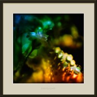 «Дневной свет» :: Станислав Лебединский «Дневной свет» :: Станислав Лебединский