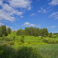 Палитра июня... :: Владимир Жданов