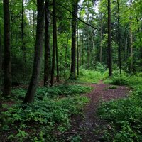 * * * :: Андрей Лукьянов