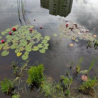 * * * :: Андрей Лукьянов