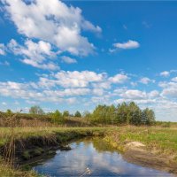 Речка Сюксюмка :: **** vedin