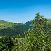 Плато Лаго-Наки :: Игорь Сикорский