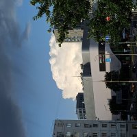 ... :: Галина ... :: Галина