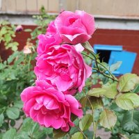 ,,, :: Сергей Тимоновский ,,, :: Сергей Тимоновский