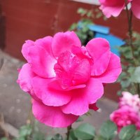 ,,, :: Сергей Тимоновский ,,, :: Сергей Тимоновский