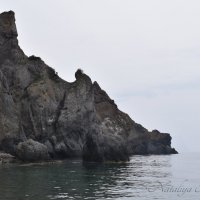 Природа Крыма :: Amazing Cosmea