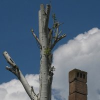 . :: Александр Хоменко