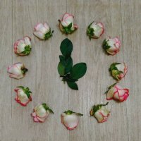 Послесловие :: Галина Бобкина