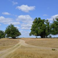 **** :: Виктор 