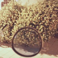 13  ОПЕН (181) :: OPEN WAYS ALL