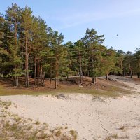 Природный парк "Белые пески". :: Лия ☼ Природный парк "Белые пески". :: Лия ☼