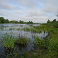 ... :: Елена Пономарева ... :: Елена Пономарева