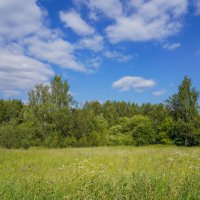 Под небом июня... :: Владимир Жданов Под небом июня... :: Владимир Жданов