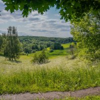 Палитра июня... :: Владимир Жданов