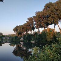 Острова на Иртыше :: Андрей Хлопонин