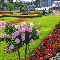 лето в городе :: Олег Лукьянов лето в городе :: Олег Лукьянов