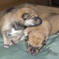 Жизнь только начинается :: Валерий Иванович