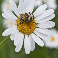 У красивой модели и подиум должен быть достойный )) :: Владимир Хиль