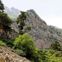 ПО ГОРАМ. :: Виктор Осипчук