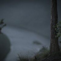 * :: Александр Иванов