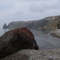 Природа Крыма :: Amazing Cosmea Природа Крыма :: Amazing Cosmea