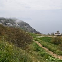 Природа Крыма :: Amazing Cosmea