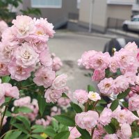 ,,, :: Сергей Тимоновский