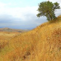 про лето :: Andrey Bragin 