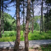 И так бывает! :: Надежда 