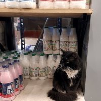 *** :: Владимир Захаров