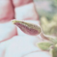 13  ОПЕН (191) :: OPEN WAYS ALL