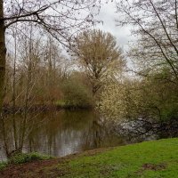 *** :: Николай Гирш