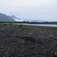 *** :: Александр Хаецкий
