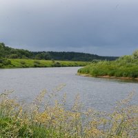 Перед дождем :: Татьяна Тюменка