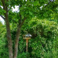 птичкин домик :: Валентина. . птичкин домик :: Валентина. .